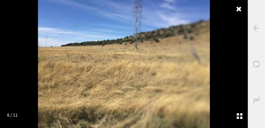 0 Bedroom Property for Sale in Reddersburg Free State